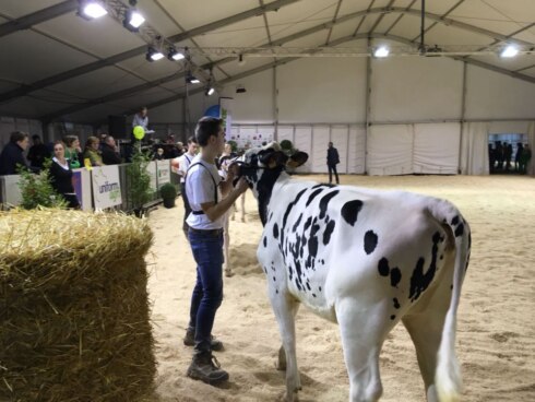 2018-01-27 00:00:00 - Hallen te klein voor landbouwbeurs
