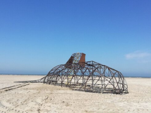 2018-06-28 00:00:00 - Gigantisch karkas op het strand voor Waterfront