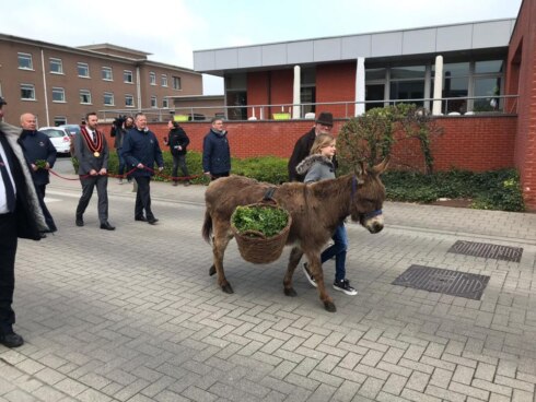 2019-04-14 00:00:00 - Kuurne zet ezel centraal op Palmzondag
