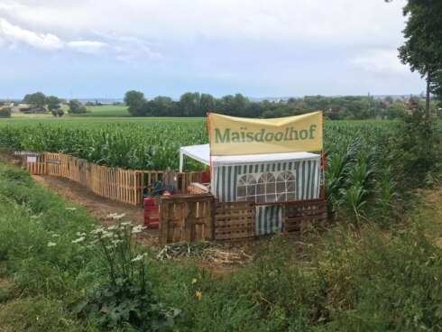 2019-07-20 00:00:00 - Verdwalen in het Tiegemse mais