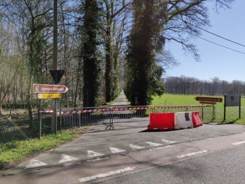 2020-03-22 00:00:00 - Ontspannen in het bos op veilige afstand van elkaar