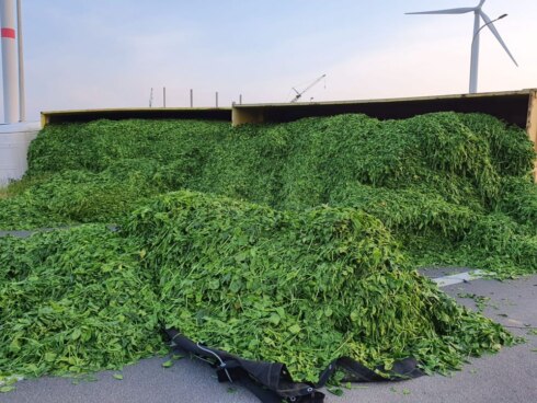 2020-05-09 00:00:00 - 28 ton spinazie op de weg in Poperinge