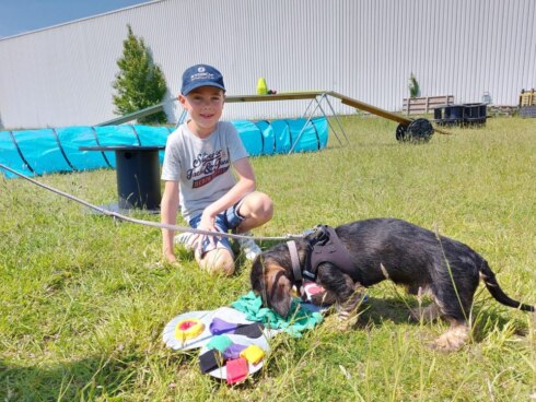 2021-05-31 00:00:00 - Leerlingen worden opgeleid om veilig om te gaan met honden