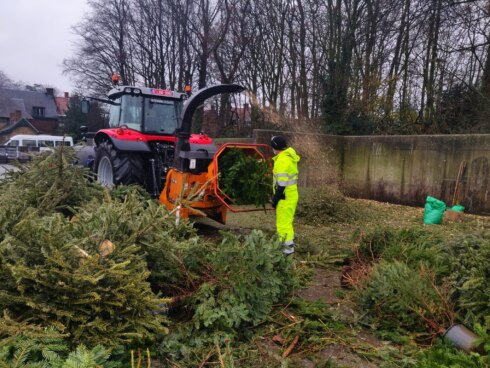 2022-01-08 00:00:00 - Wervik gaat ecologisch: kerstboomverhakseling