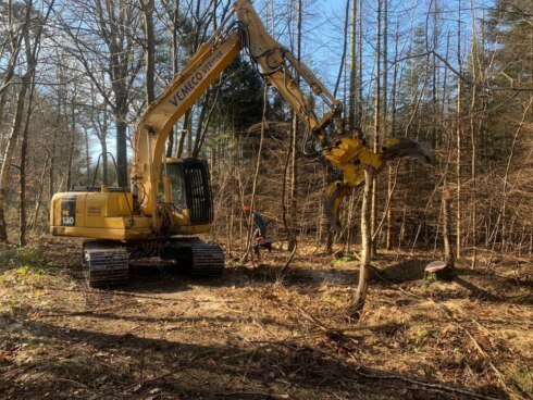 2022-02-24 00:00:00 - 500 omgewaaide bomen in het Vagevuurbos