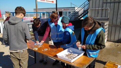 2022-03-19 00:00:00 - Kustgemeenten organiseren 'De Grote Schelpenteldag'