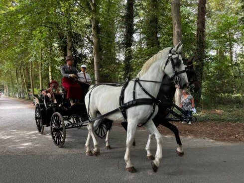 2022-08-15 00:00:00 - Van ijskar tot lijkwagen: Koetsenparade trekt door Brugge