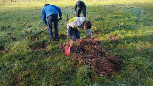 2022-11-12 00:00:00 - 9000 bomen geplant in Snellegem