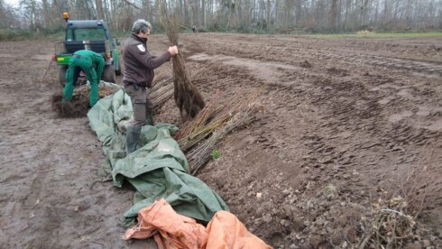 2023-02-13 00:00:00 - Brugse scouts helpen bos planten: "Wij willen ravotten in de natuur"