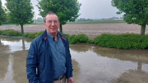 2023-05-12 00:00:00 - Regen slecht nieuws voor groenteboeren