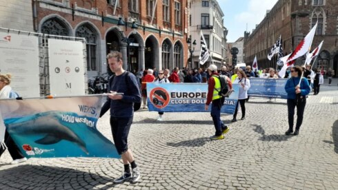 2023-05-13 00:00:00 - Bite Back voert actie in Brugge tegen dolfinaria