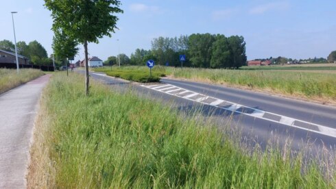 2023-06-06 00:00:00 - Oppositie vraagt stad om situatie aan dodelijke vluchtheuvel veiliger te maken