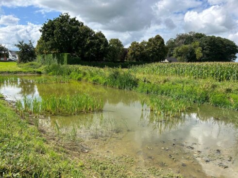 2023-08-30 00:00:00 - Inagro onderzoekt landbouwmogelijkheden in bufferbekkens