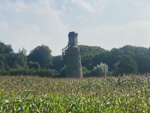 2021-09-03 00:00:00 - Nieuw leven voor oude windmolen in Gistel