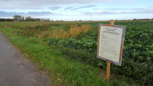 2020-10-26 00:00:00 - Negatief advies voor windmolens in Sint-Jan