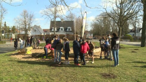 2021-02-23 00:00:00 - Kortrijk krijgt eerste "wonderwoudje"