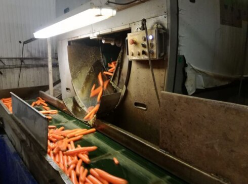 2018-07-13 00:00:00 - Groententeler Verduyn investeert in nieuwe fabriekshal