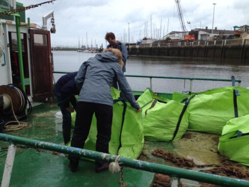 2021-05-20 00:00:00 - Eerste experimenteel zeewier geoogst voor de kust