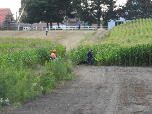 2019-08-16 00:00:00 - Wilde achtervolging op E403, daarna zoektocht in maïs