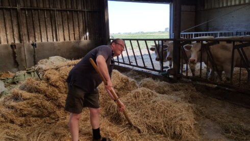 2022-05-21 00:00:00 - Enkel boerderijen die in 2015 code rood kregen, moeten sluiten