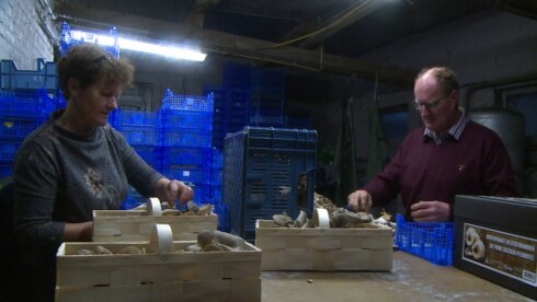 2019-01-11 00:00:00 - Steeds meer landbouwers kiezen voor korte keten