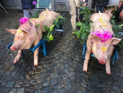 2020-01-19 00:00:00 - Bijzondere optocht in Ingooigem