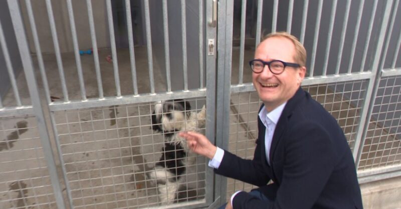 Vorig jaar ruim 40.000 dieren binnengebracht in asielen in…