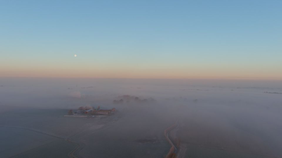 2023-02-07 00:00:00 - Ochtendstond met gouden randje: zo mooi ontwaken in West-Vlaanderen - eernegem1.jpeg