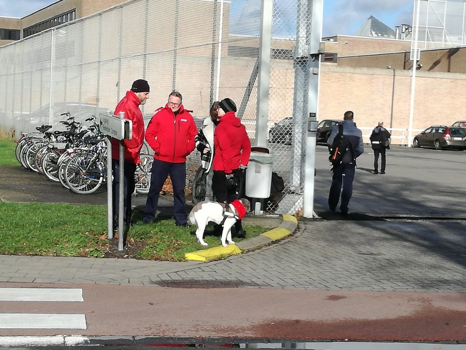 2018-02-01 00:00:00 - 32-urenstaking in gevangenis Brugge - hondenjob.jpg