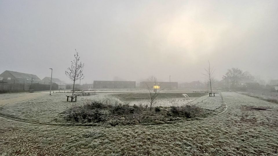 2023-02-07 00:00:00 - Ochtendstond met gouden randje: zo mooi ontwaken in West-Vlaanderen - ochtendstond_harelbeke.jpg