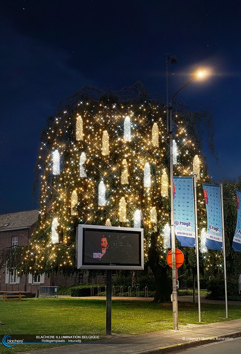 2020-11-09 00:00:00 - 1,3 miljoen lichtjes maken KortrijkverLICHT - rollegemplaats-treurwilg.jpg
