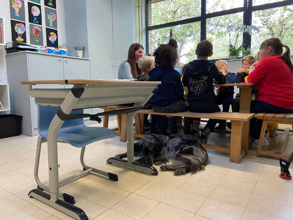 2021-10-04 00:00:00 - Elke dag werelddierendag in Wonderwijs Brugge - wonderwijs_2.jpg