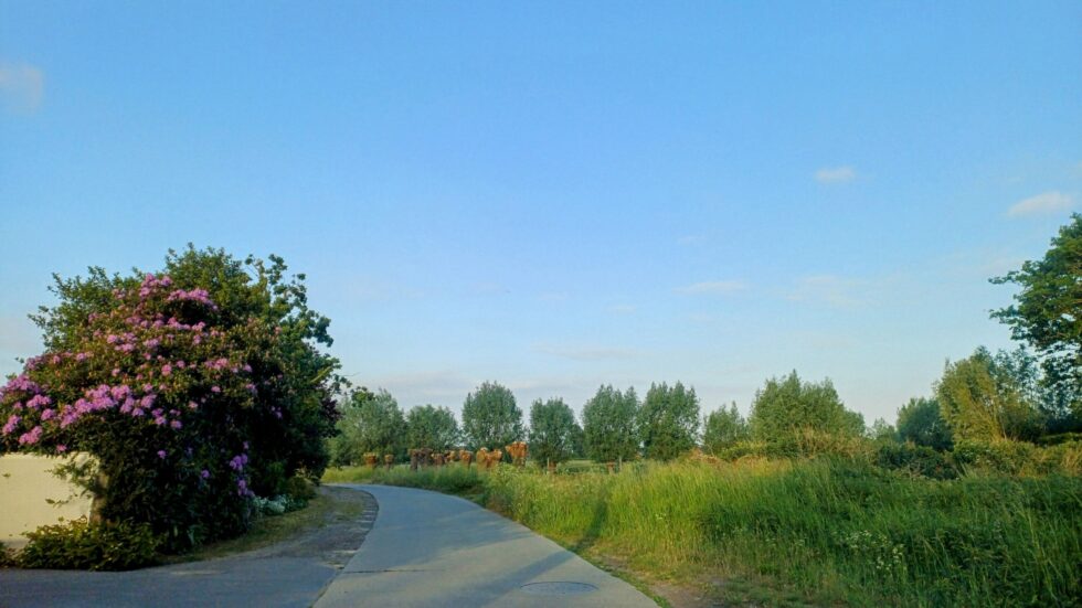 2025 05 17 115750 Ardooie Hilde Vandenbulcke